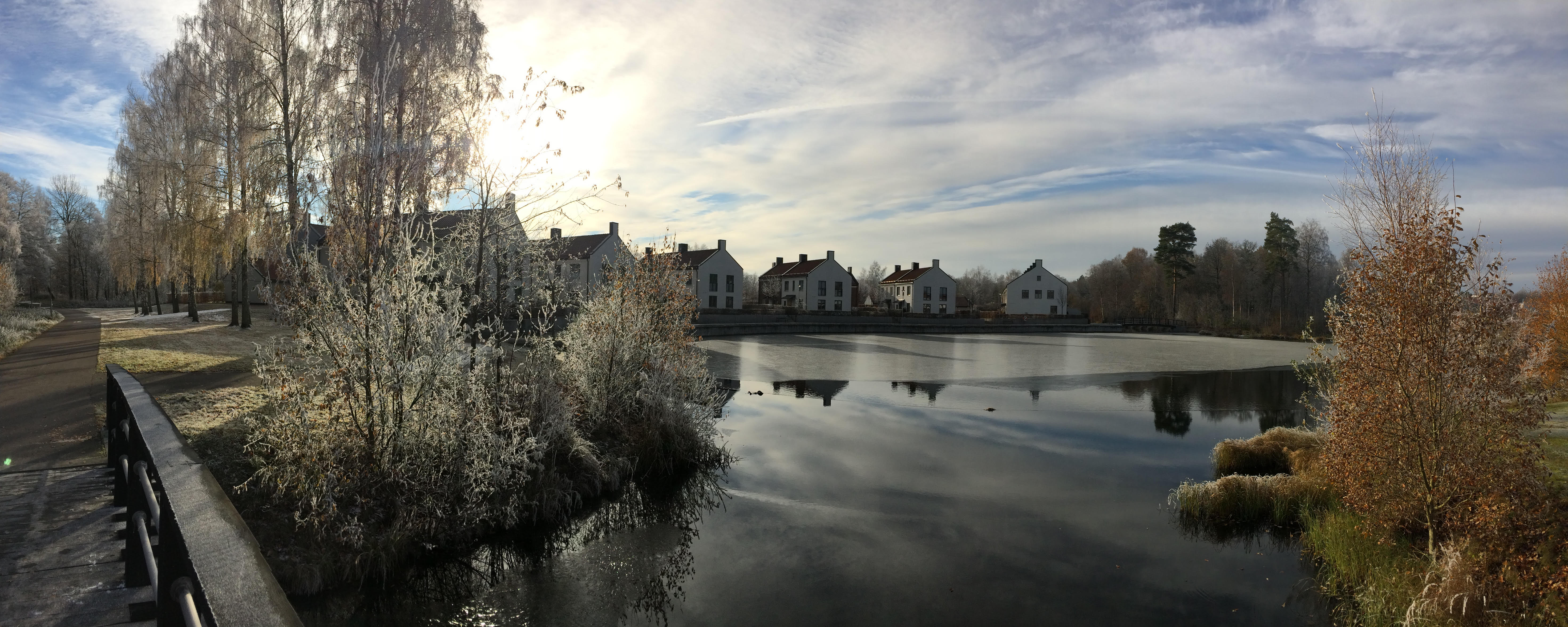 biskopskolonin-i-frost